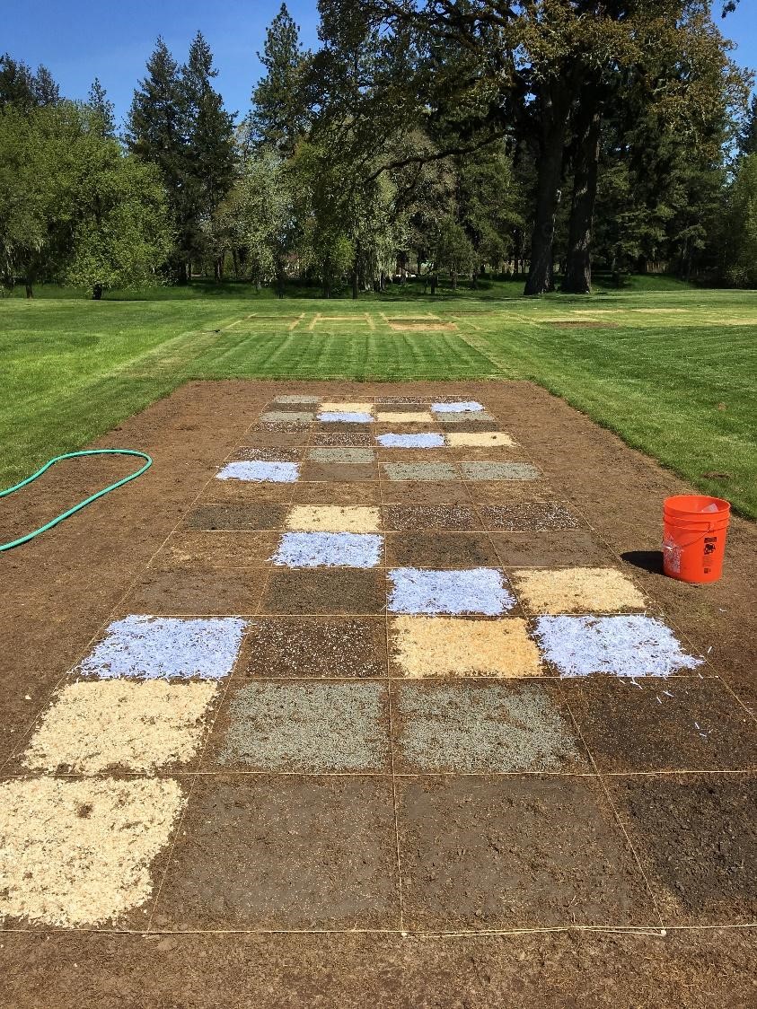 Research plots of bare soil with different mulching materials on top of each plot