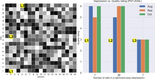 The randomized location of one cultivar on the experimental plot plan and quality rating in relation to depression