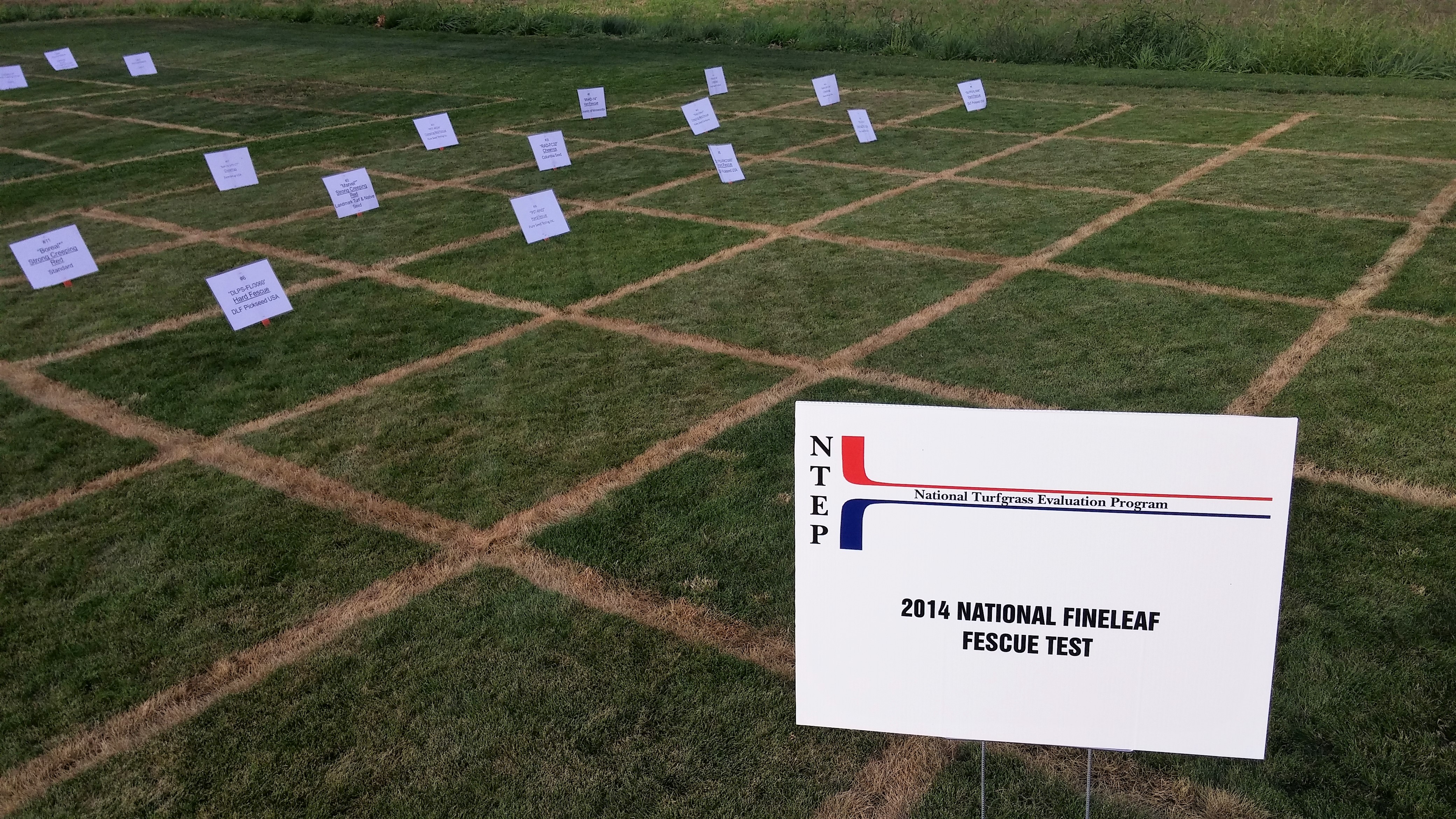 Square turfgrass research plots labeled with signs