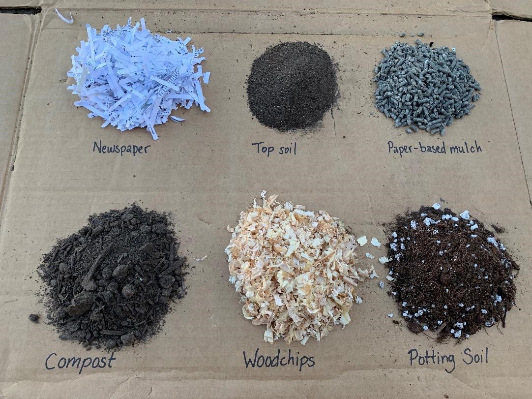 Six types of mulching materials side by side