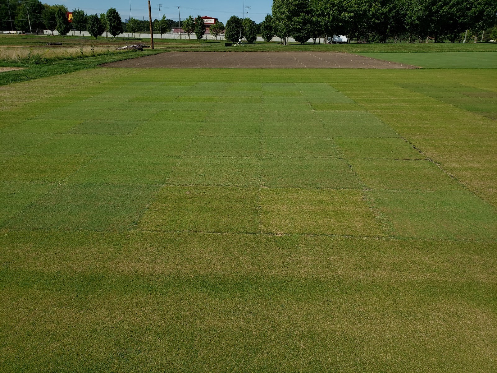 Putting green research plots at the University of Minnesota in September