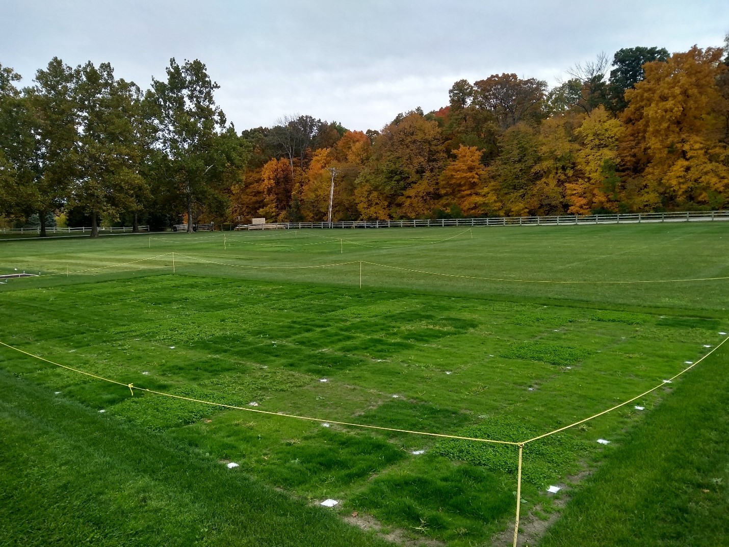 turfgrass field research plots surrounded with rope