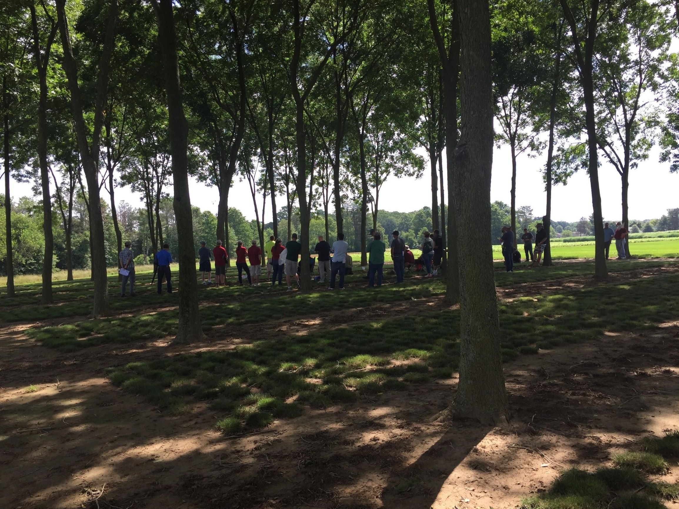 a group of people gathered around research plots beneath trees at a field day