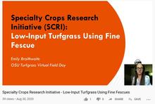 Slide from presentation on low input turfgrass