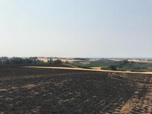 A field with burned vegetation